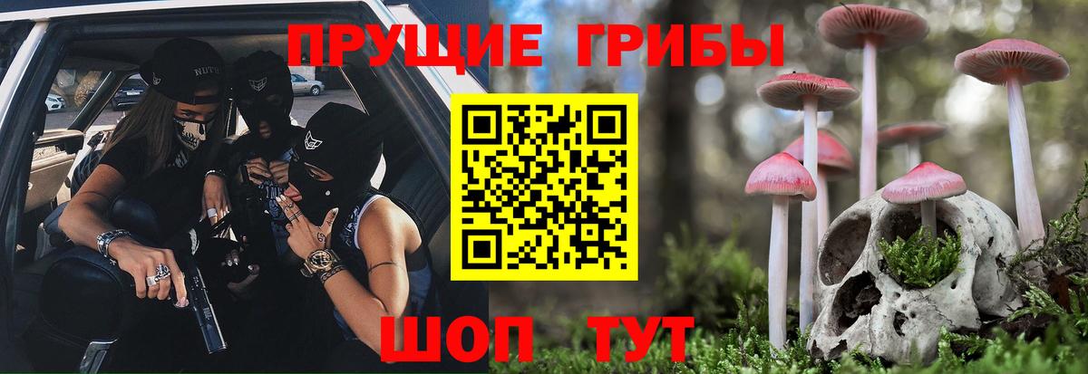 Псилоцибиновые грибы Cubensis  Вход с VPN  Сухой Лог 