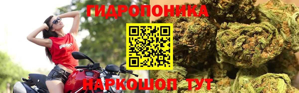 МАРИХУАНА планчик  МАРИХУАНА MAZAR  МАРИХУАНА план  Вход с VPN  Сухой Лог  Шишки марихуана гибрид 